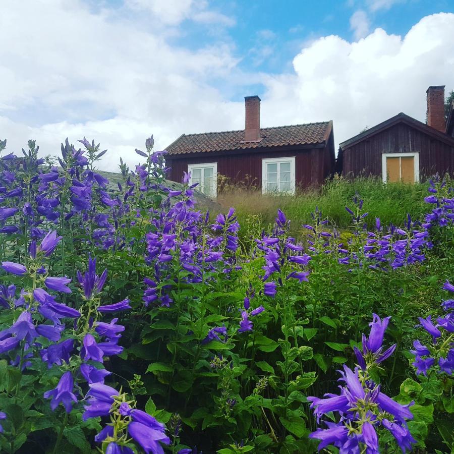 Loevanger Kyrkstad Lovanger ภายนอก รูปภาพ