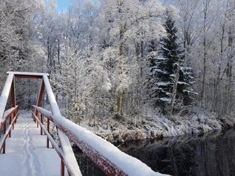 Loevanger Kyrkstad Lovanger ภายนอก รูปภาพ